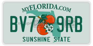 BV79RB license plate in Florida