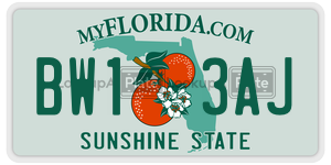 BW13AJ  license plate in FL