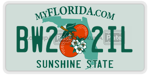 BW22IL license plate in Florida