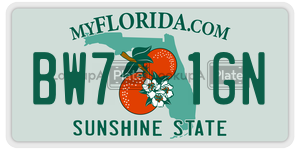 BW71GN  license plate in FL