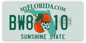 BW810  license plate in FL