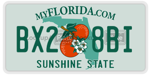 BX28BI  license plate in FL