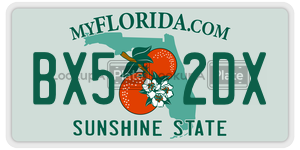 BX52DX  license plate in FL