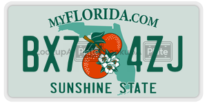 BX74ZJ  license plate in FL