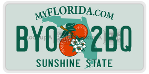 BY02BQ  license plate in FL