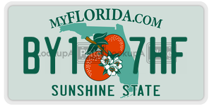 BY17HF  license plate in FL
