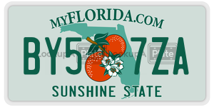 BY57ZA  license plate in FL