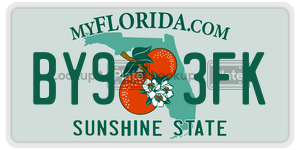 BY93FK license plate in Florida