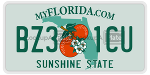 BZ31CU license plate in Florida