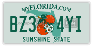 BZ34YI  license plate in FL