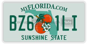 BZ61LI  license plate in FL