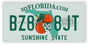 BZ88JT  license plate in FL