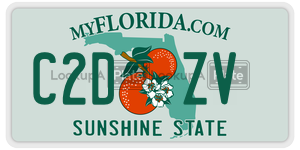 C2DZV  license plate in FL