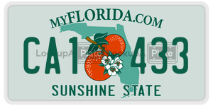 CA1433  license plate in FL