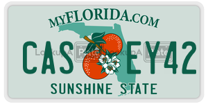 CASEY42  license plate in FL