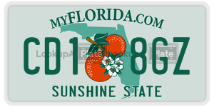 CD18GZ license plate in Florida