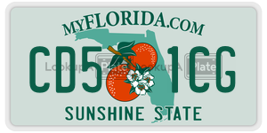 CD51CG  license plate in FL