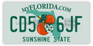 CD56JF license plate in Florida