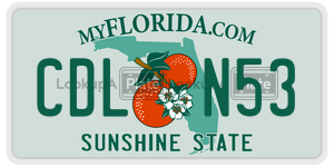 CDLN53  license plate in FL
