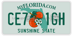 CE71GH  license plate in FL