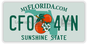 CF04YN  license plate in FL