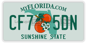 CF75DN  license plate in FL