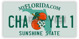 CHAYIL1  license plate in FL