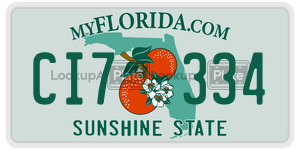 CI7334  license plate in FL