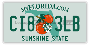 CI83LB  license plate in FL