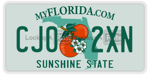 CJ02XN  license plate in FL