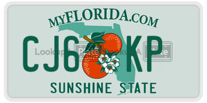CJ6KP  license plate in FL