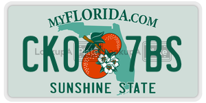 CK07BS license plate in Florida