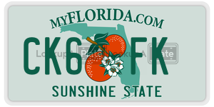 CK6FK  license plate in FL