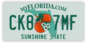 CK87MF  license plate in FL