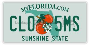 CL05MS license plate in Florida