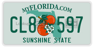 CL8597  license plate in FL