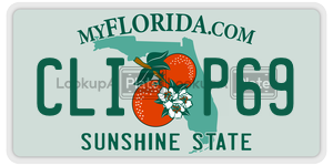 CLIP69 license plate in Florida