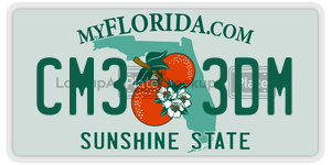 CM33DM  license plate in FL