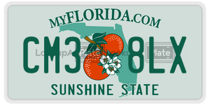 CM38LX  license plate in FL
