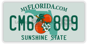 CM6809  license plate in FL