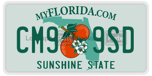 CM99SD license plate in Florida