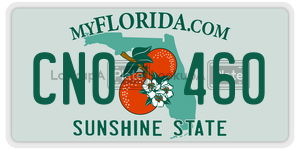 CN0460  license plate in FL
