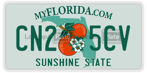 CN25CV  license plate in FL