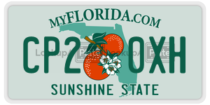 CP20XH license plate in Florida