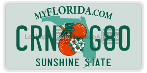 CRNG80 license plate in Florida