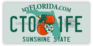 CT01FE  license plate in FL