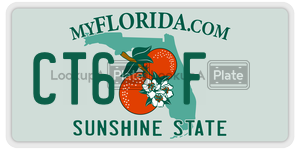 CT6F  license plate in FL