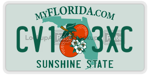 CV13XC  license plate in FL