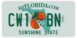 CW1BN  license plate in FL