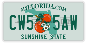 CW55AW license plate in Florida